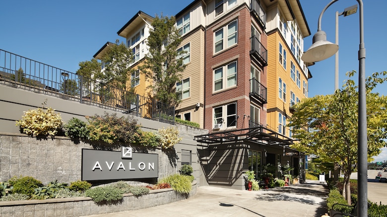 Avalon Towers Bellevue - pet-friendly rental in Bellevue