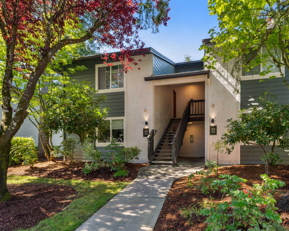Madison Sammamish Apartments - pet-friendly rental in Sammamish