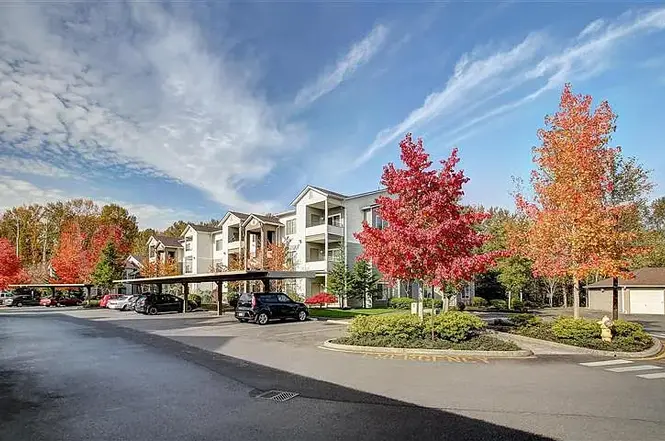 River Trail Apartments - pet-friendly rental in Puyallup