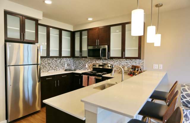 Roosevelt Station Apartments - pet-friendly rental in Seattle